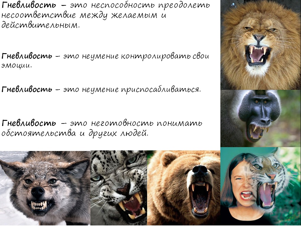 гневливость