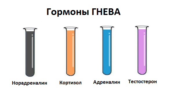 гормноны гнева