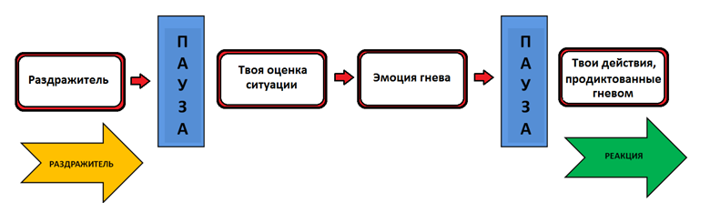 мета внимание и цепи