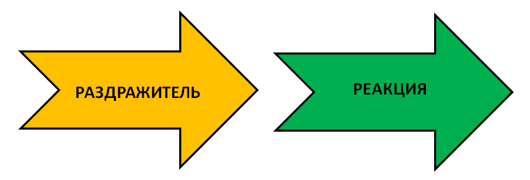 раздражительреакция