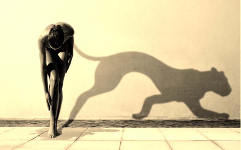 shadow1